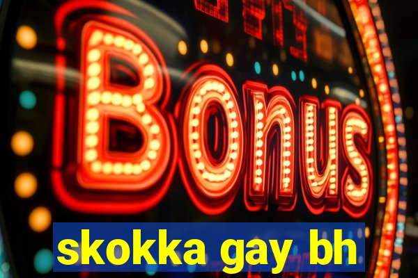 skokka gay bh